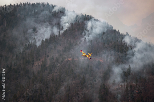 Firefighting airplane with water from a lake to extinguish wildfire in a forest