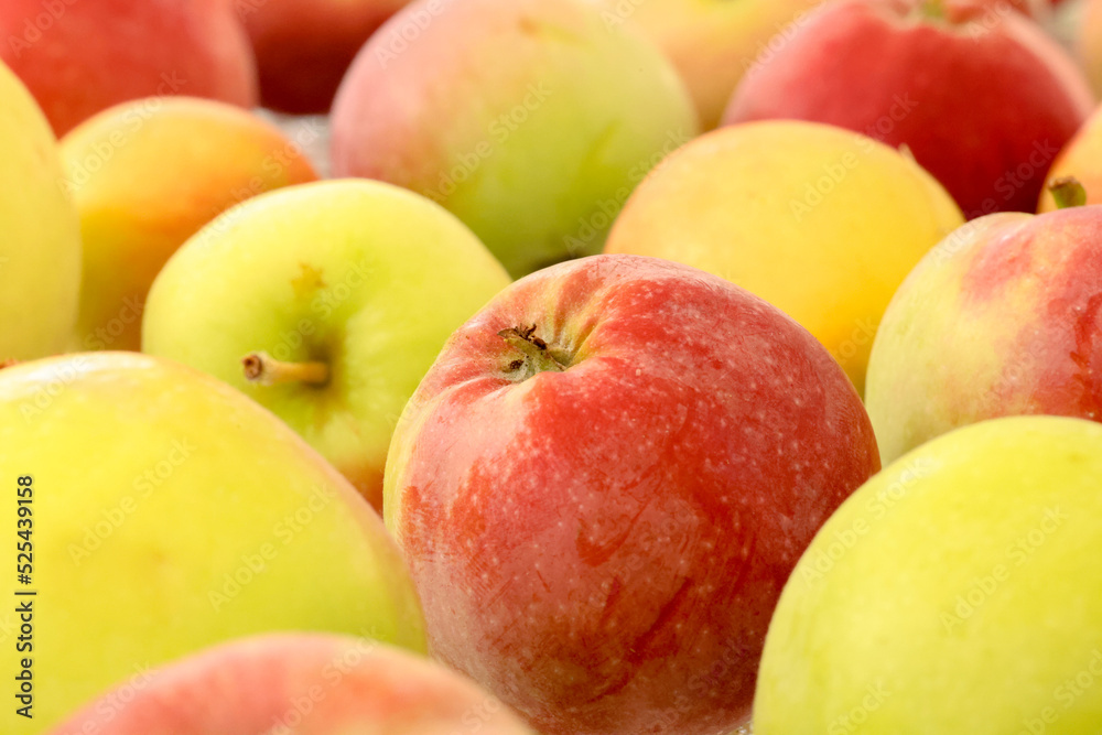 apples close-up with beautiful defocus for background apples close-up with beautiful defocus for background