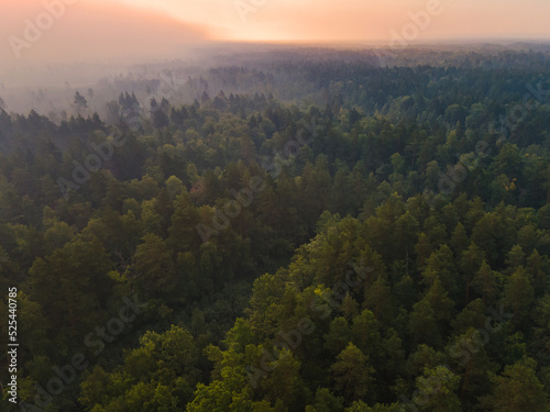 morning in the mountains