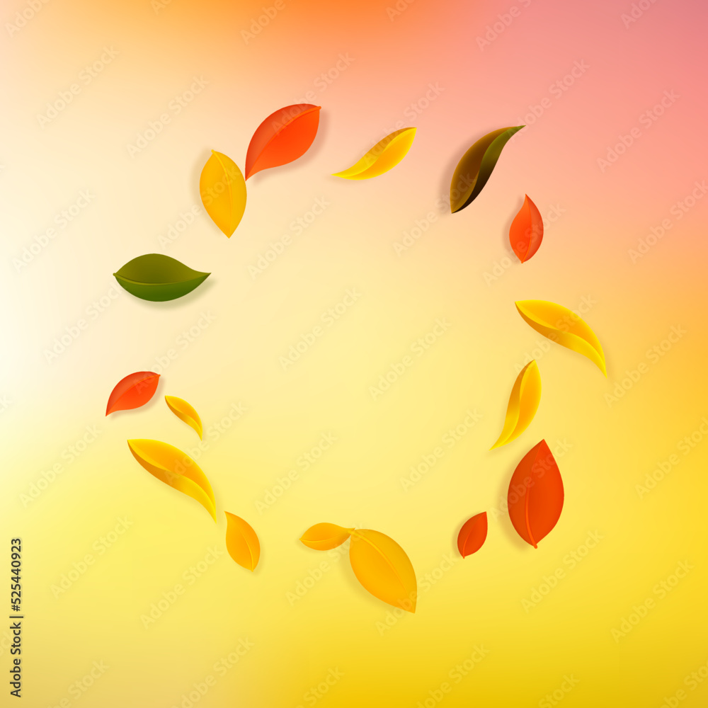 Falling autumn leaves. Red, yellow, green, brown c Falling autumn leaves. Red, yellow, green, brown c