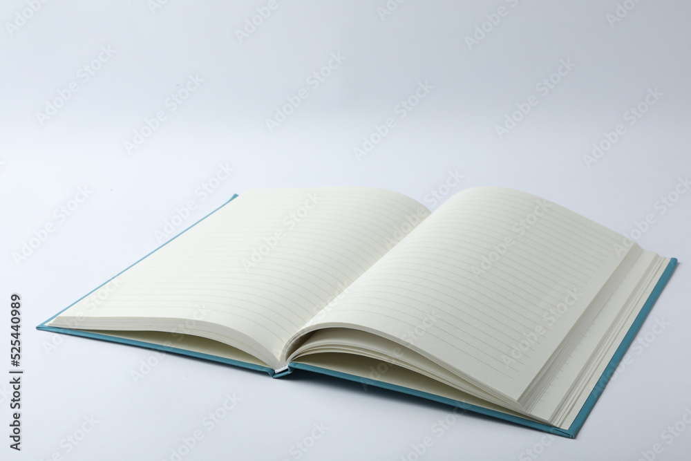 Stylish open notebook with blank sheets isolated on white Stylish open notebook with blank sheets isolated on white