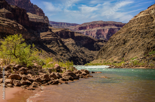 Colorado River Rapids in The Grand Canyon