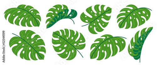 Monstera Deliciosa leaf flat icon set. Green tropical exotic plant. Summer beach hawaiian jungle forest foliage. Floral branch cartoon design element. Different shape single leaves isolated on white