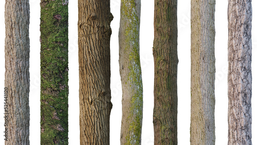 Photo tree trunks isolated on white background