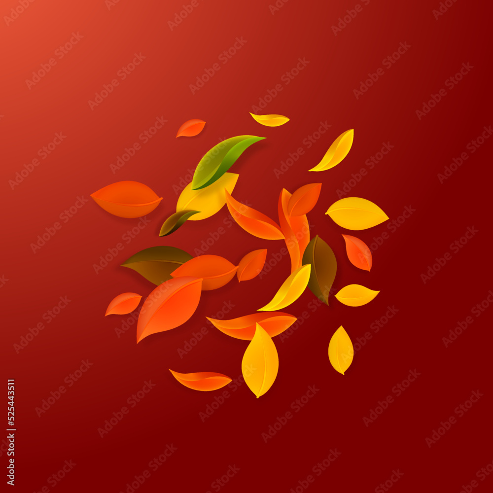 Falling autumn leaves. Red, yellow, green, brown c Falling autumn leaves. Red, yellow, green, brown c