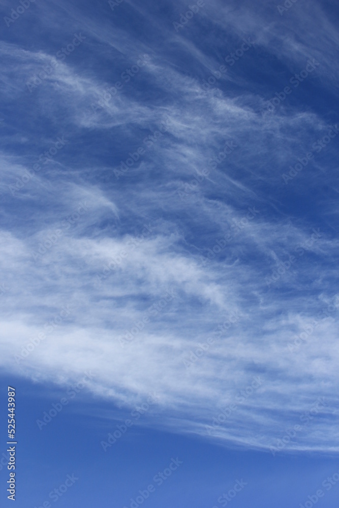 薄い雲が広がる爽やかな青空