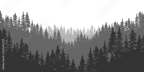 Mountain spruce forest. Vector illustration. Stock image. 