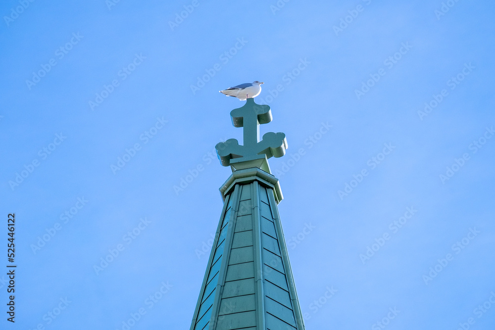 A church steeple made of copper with a blue green patina color. The tall religious spire in the shape of a cross against a blue sky background. The wild white and grey gull is perched on top of it.