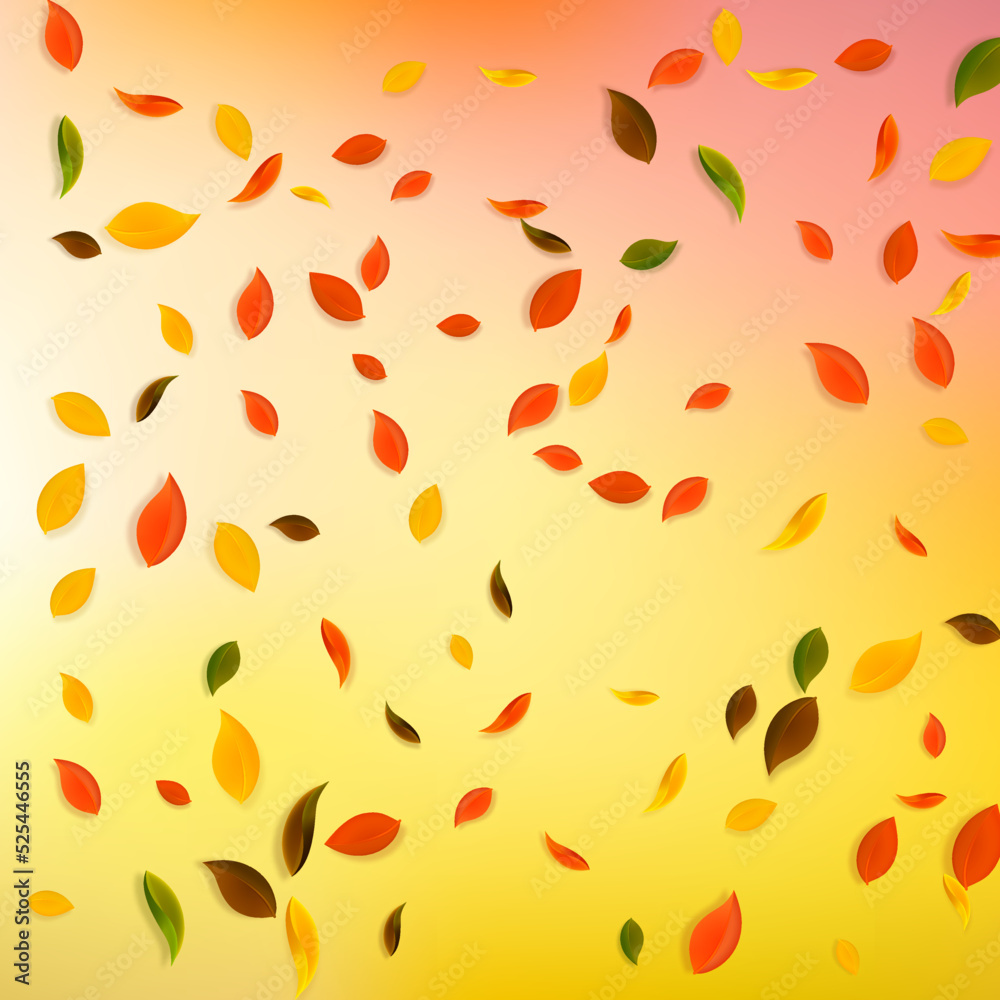 Falling autumn leaves. Red, yellow, green, brown c Falling autumn leaves. Red, yellow, green, brown c