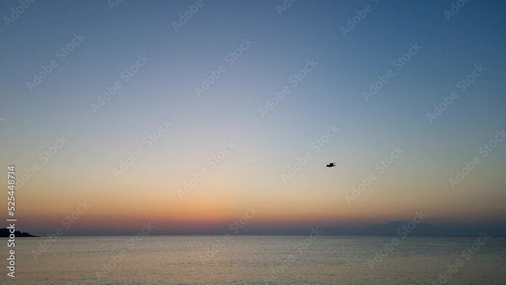 Slow motion of seagull soaring in the sky above the sea at sunrise Slow motion of seagull soaring in the sky above the sea at sunrise
