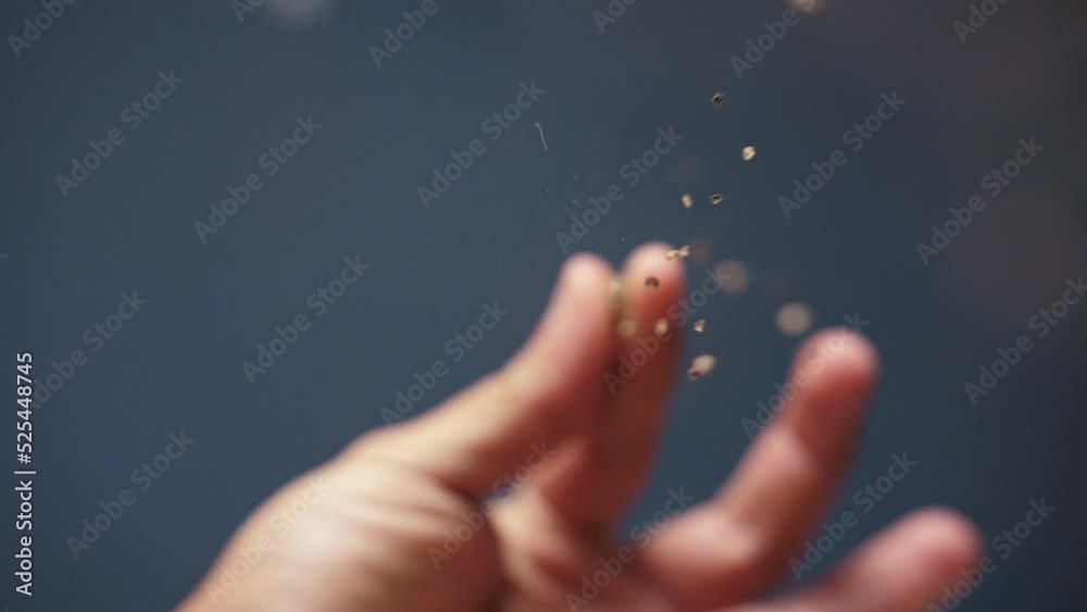 Beautiful close-up of a hand dropping peppercorns on the camera lens in slow motion shot, blue background Beautiful close-up of a hand dropping peppercorns on the camera lens in slow motion shot, blue background