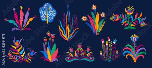 Cartoon tropical mexican and brazilian flower plants, vector summer exotic palms. Tropical jungle flower and leaf plants with Mexico and Brazil floral pattern ornament art, banana or monstera plants