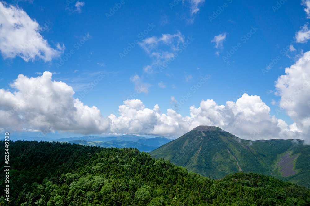 Fototapeta premium 夏の八ヶ岳 北横岳から蓼科山をのぞむ