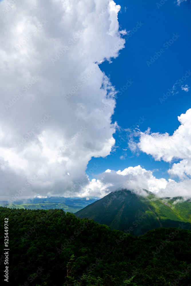 Obraz premium 夏の八ヶ岳 北横岳から蓼科山をのぞむ