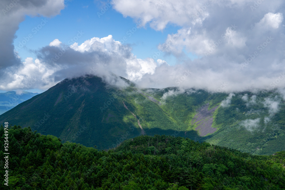 夏の八ヶ岳　北横岳から蓼科山を眺める