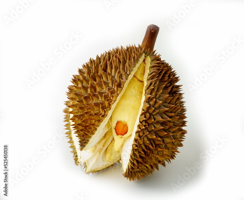 The durian has ripened and opened itself.
White background.