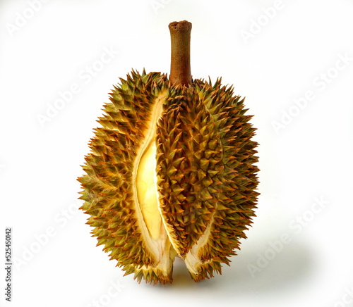 The durian has ripened and opened itself.
White background.