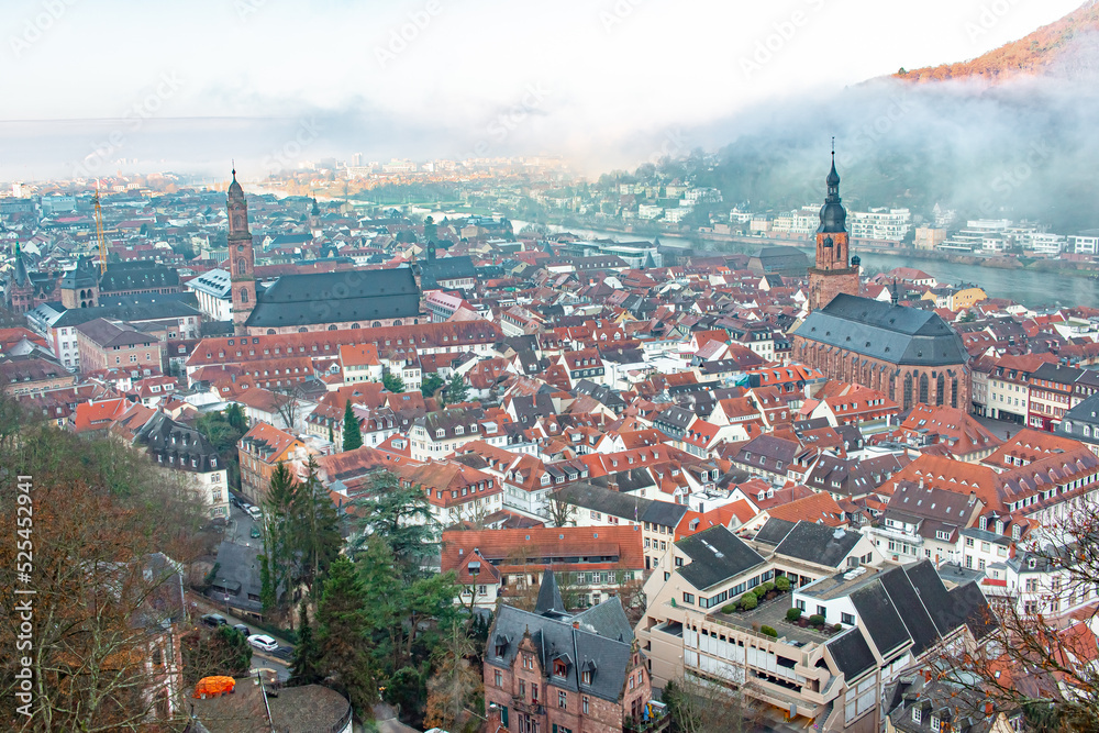 Fototapeta premium City view of Heidelberg Germany red city historic architecture from Heidelberg Castle on a cloudy winter day