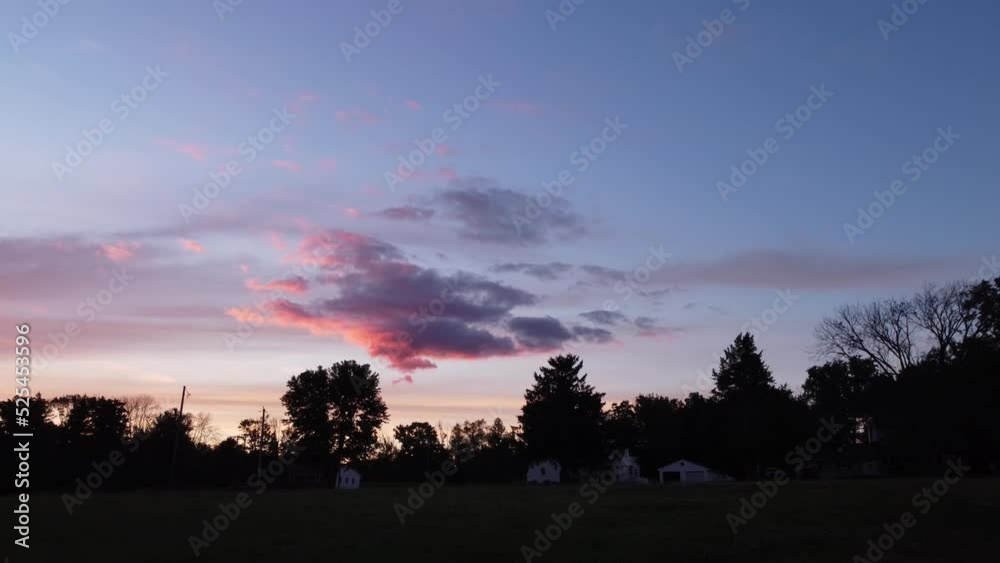 doe deer in a field at sunset doe deer in a field at sunset