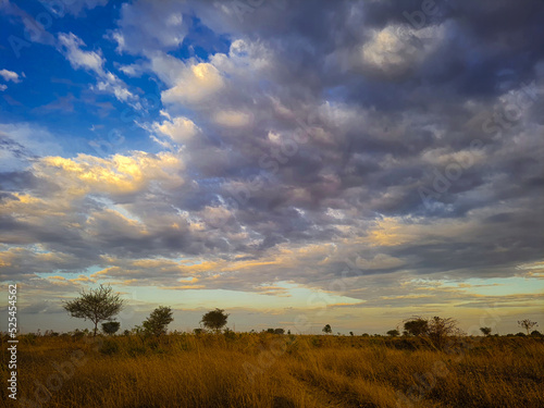 sunset over the field © Nijhanthan