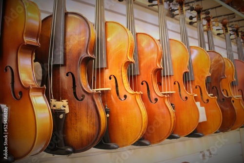 Violins on wall in music store