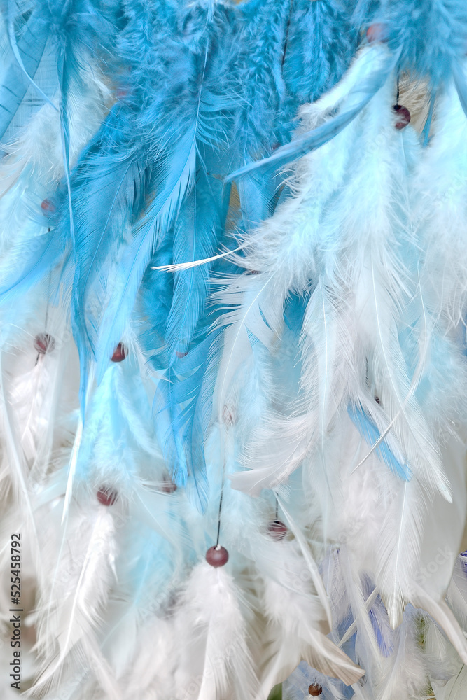 Obraz premium Bird feathers - glamour, fluffy gentle vertical background in white blue colors. Abstract, blur style and soft and delicate shade of pastel color for art design. Lightweight, stylish feminine backdrop