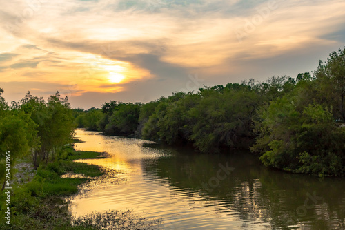 Golden sunset reflection and cedar forest on a river in San Antonio Texas