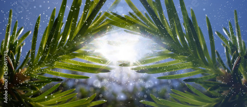 Christmas outdoors. Christmas tree branches covered snow. Happy new year. Christmas holiday Web banner with copy space. Double exposure and montage