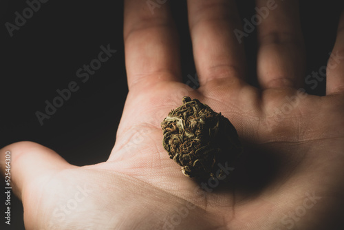 Macro close up portrait of Cannabis Marijuana Dry Buds, selective focus