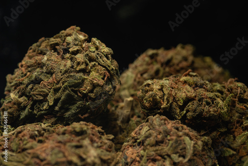 Macro close up portrait of Cannabis Marijuana Dry Buds, selective focus