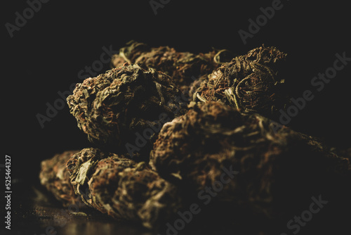 Macro close up portrait of Cannabis Marijuana Dry Buds, selective focus