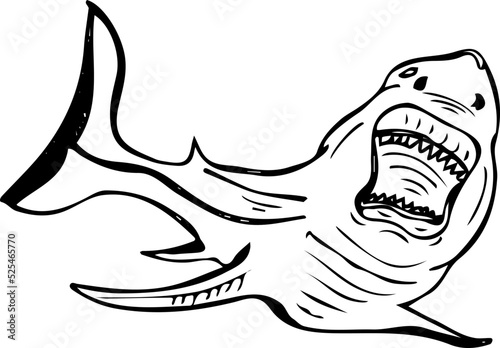 Shark fish doodle  Dangerous Shark cartoon drawing  line art illustration vector of shark fish  Fish clipart silhouette