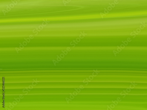 abstract fresh natural banana leave background