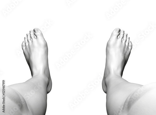 Polygonal models of human legs from black lines isolated on a white background. View from above. 3D. Vector illustration.