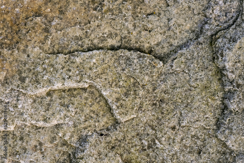 Fototapeta premium Abstract stone texture. Background for design purpose. Rough surface.