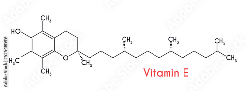 Vitamin E. Structural formula isolated on white background. Vector illustration
