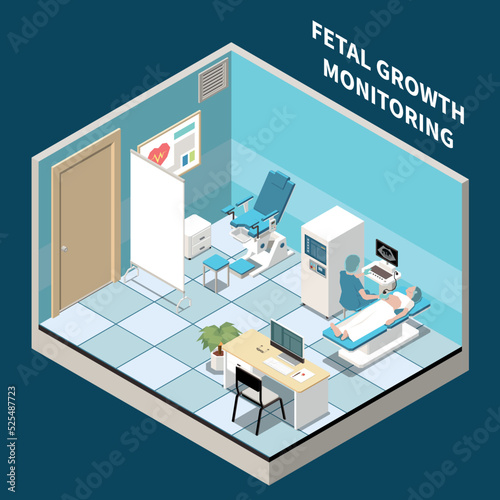 Fetal Growth Monitoring Isometric Composition
