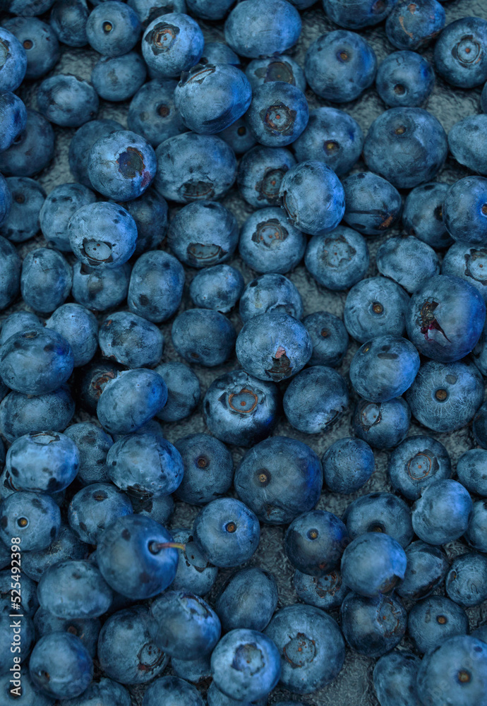 Ripe sweet blueberry. Fresh blueberries background with copy space for your text. Vegan and vegetarian concept. The macro texture of blueberry berries. Texture blueberry berries close up Ripe sweet blueberry. Fresh blueberries background with copy space for your text. Vegan and vegetarian concept. The macro texture of blueberry berries. Texture blueberry berries close up