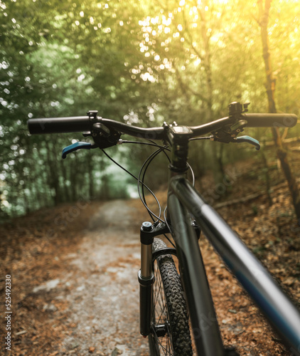 First-person view cycling in the forest. Close-up of a mountain bike handlebar. Summertime outdoor leisure sport activity concept.