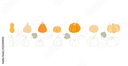 squash colorful vector illustration set