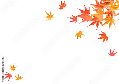 秋の色づいた紅葉 落ち葉のフレーム背景テクスチャ
