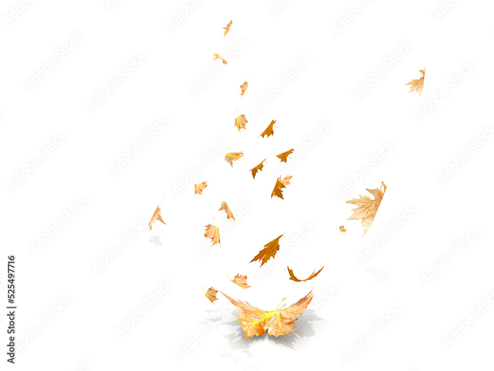 autumn leaves falling and flying by the wind isolated for background - 3d rendering autumn leaves falling and flying by the wind isolated for background - 3d rendering