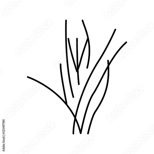 vallisneria spiralis line icon vector illustration