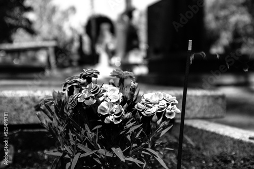 flowers in the cemetery photo