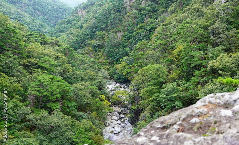 Beautiful Bogyeongsa valley scenery in Korea