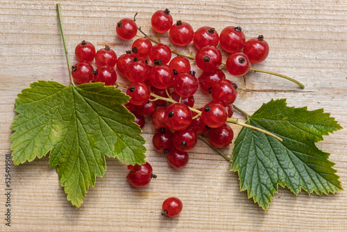 Red Currants lie on a wooden table picked from the Swedish garden in Agusti photo