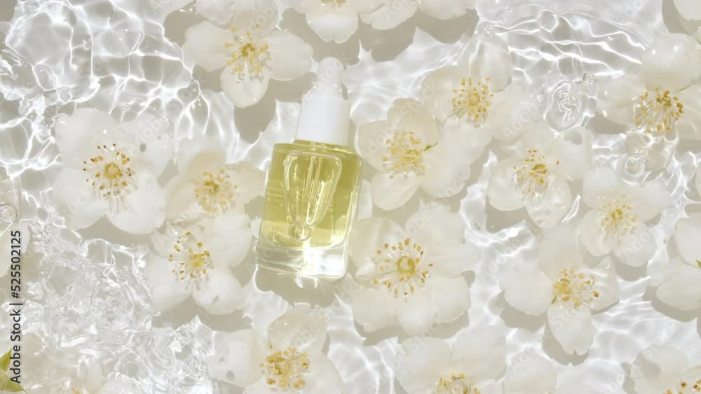 Jasmine petals flowers on water surface with drops. Cosmetic bottle, vial for oil, liquid, collagen serum. Women's cosmetics skincare. Sample of layout beauty product. High quality 4k footage