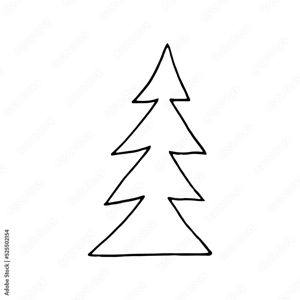 spruce hand drawn in doodle style. simple spruce hand drawn in doodle style. simple