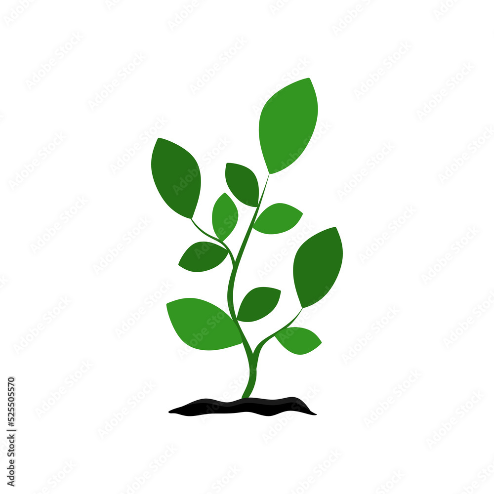 Tree growing in soil. Plant From Soil. Fresh organic tree garden plant Tree growing in soil. Plant From Soil. Fresh organic tree garden plant
