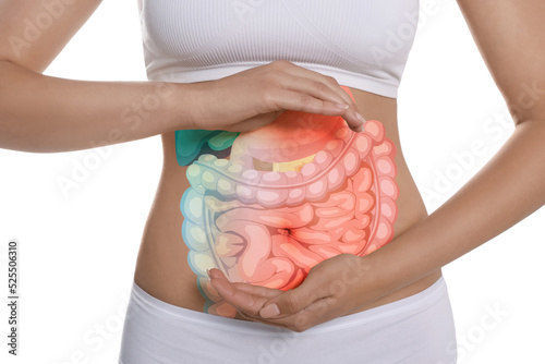 Closeup view of woman with illustration of abdominal organs on her belly against white background photo